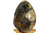 Septarian Dragon Egg Geode - Black Crystals #158340-1